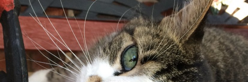 Leannwoods_'s profile banner image