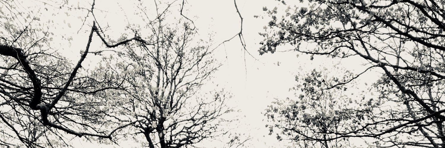 muyrojo22's profile banner image