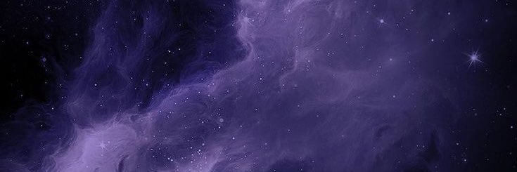 Warren banner