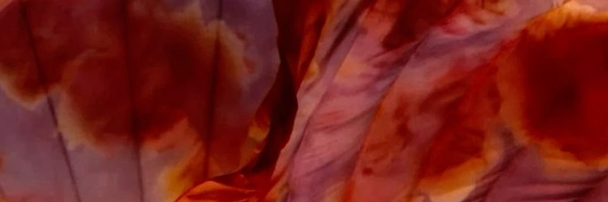 cherrysswift's profile banner image