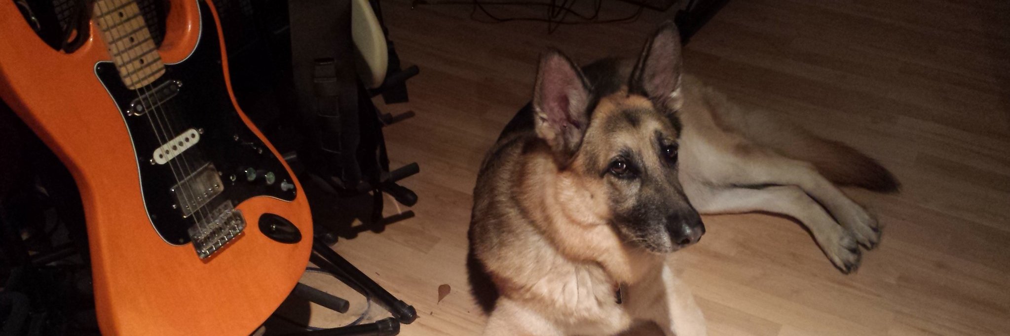 chip mcdonald banner