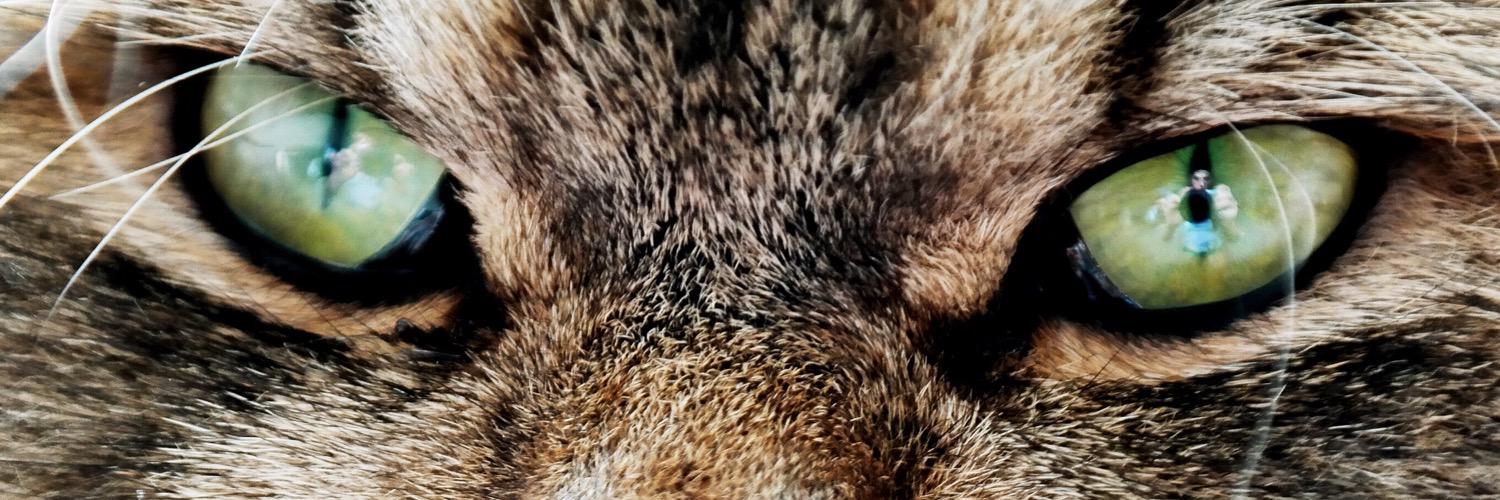 smushball's profile banner image