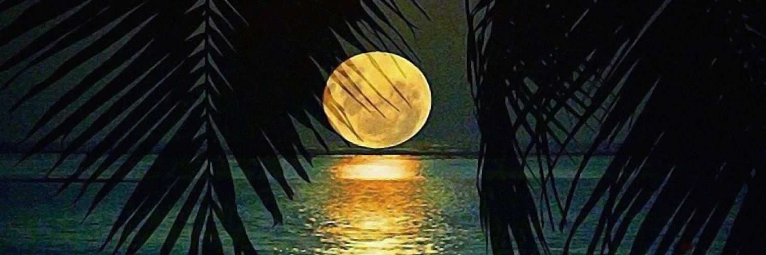 Puss999's profile banner image