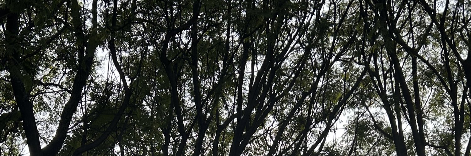 asaraidm's profile banner image