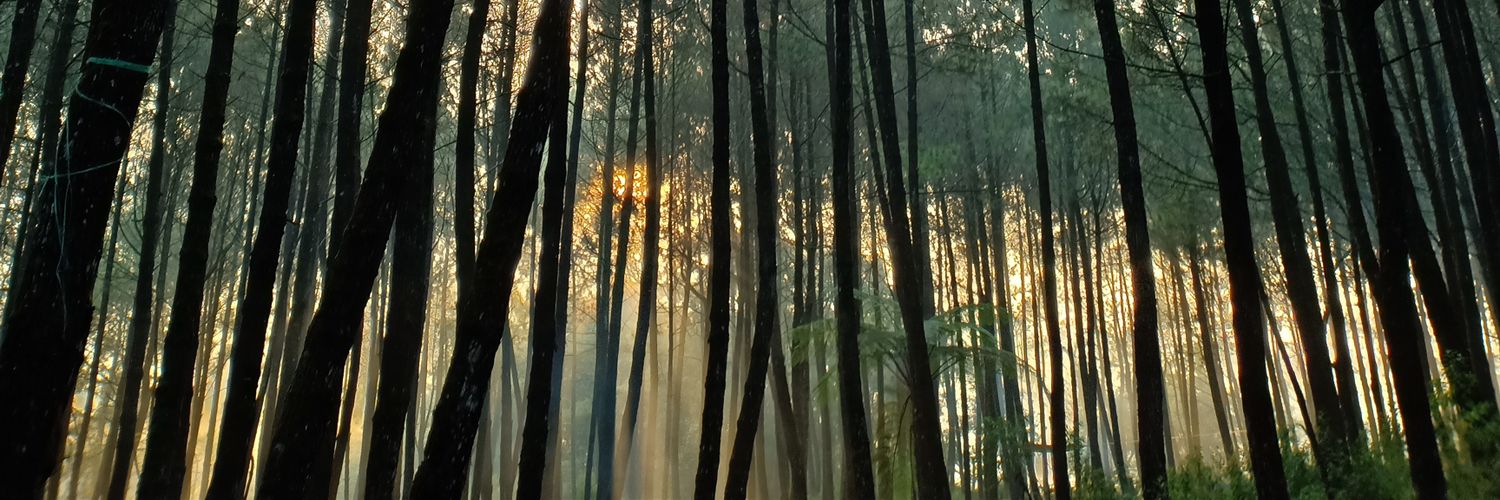 santifityud's profile banner image