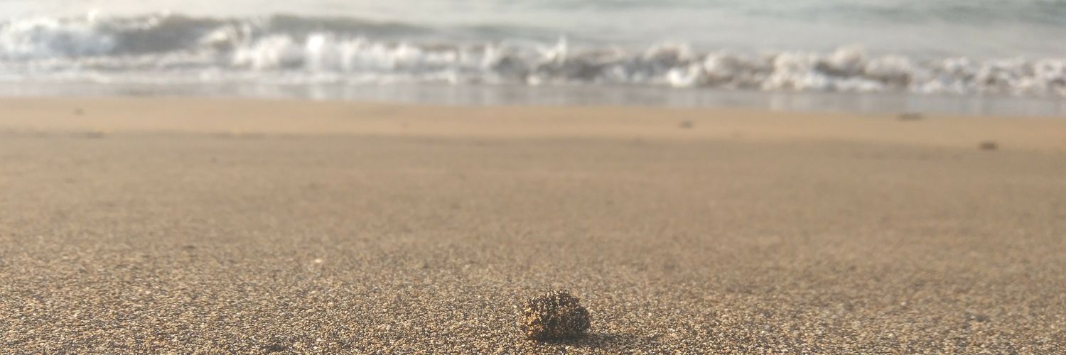 Frantxu_M's profile banner image