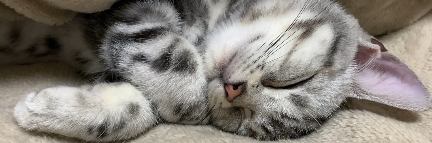 バロルド🦀 banner