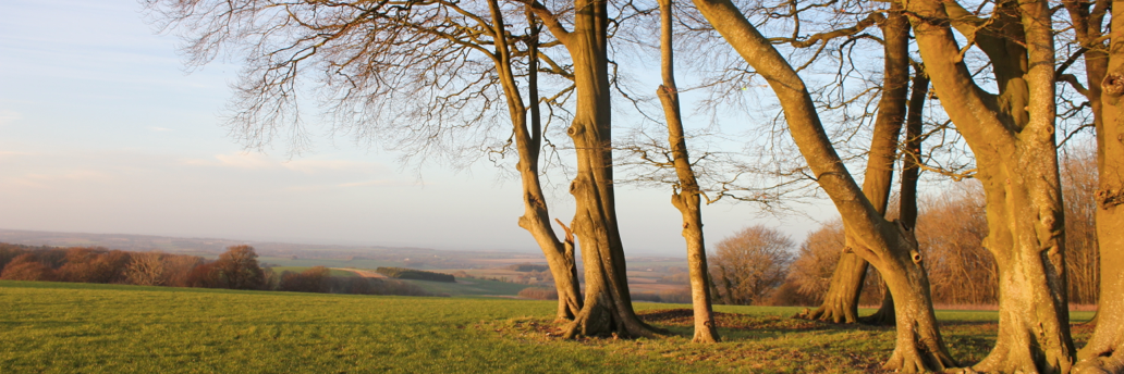 Gordon Cooper banner