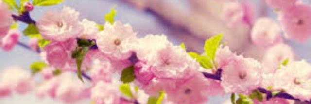 Nuria1084's profile banner image