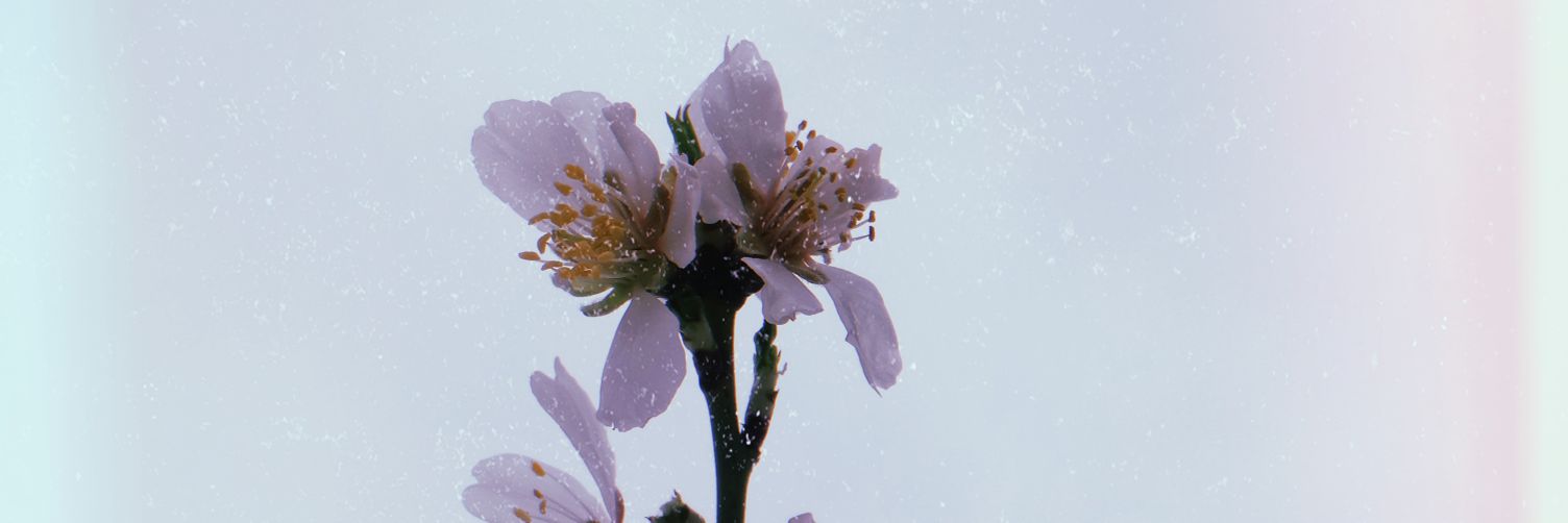 b0ncukgoz's profile banner image