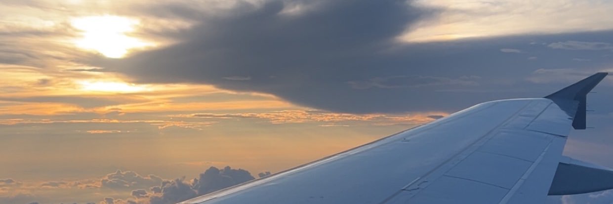 loublnc's profile banner image