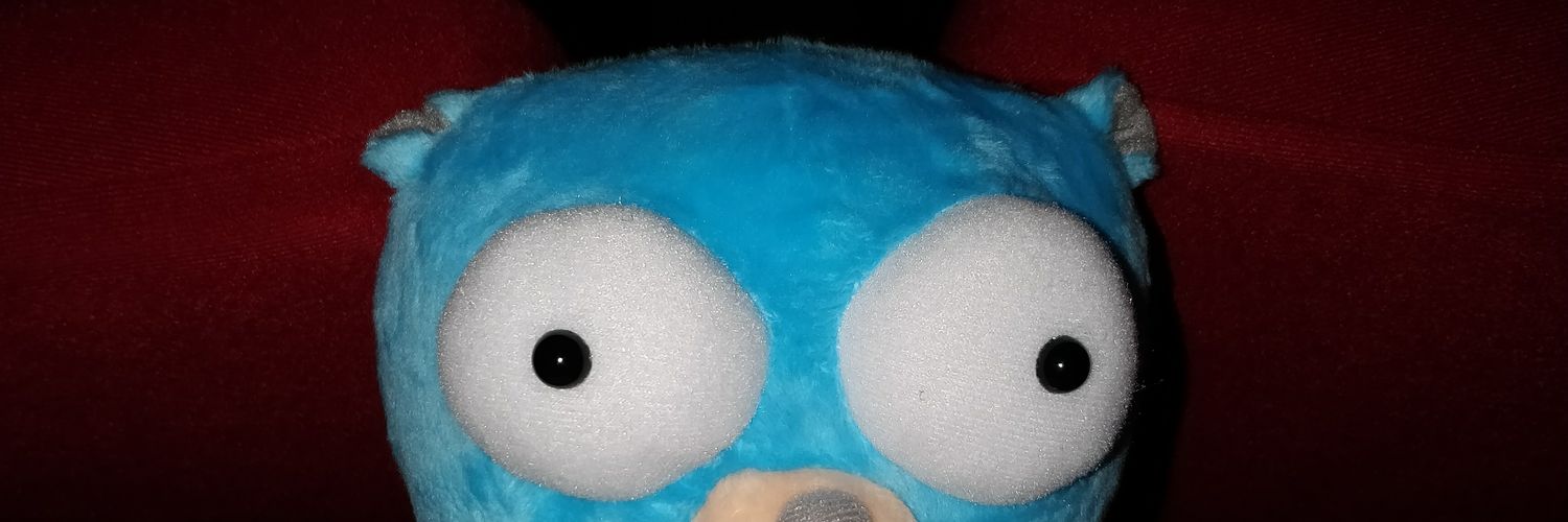 Marc Guenneguez banner