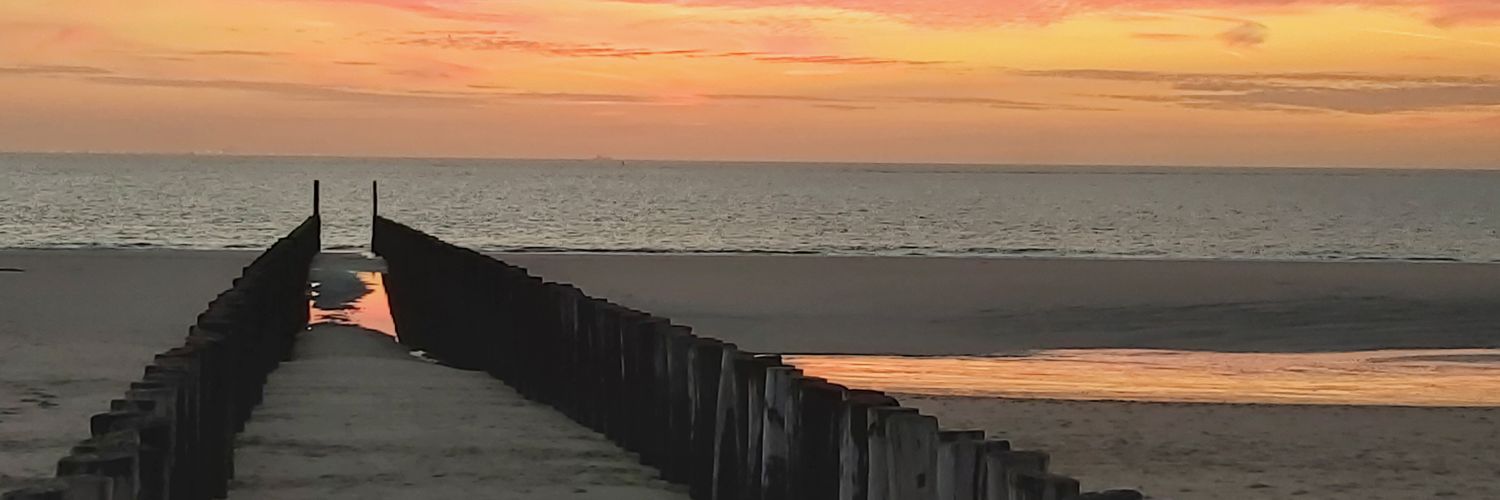 Tom Broekaert 💬 banner