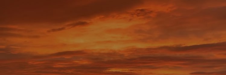 Barbaraarochee's profile banner image