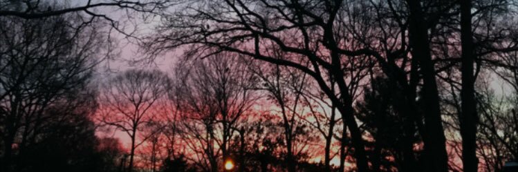 jamieeethomas_'s profile banner image