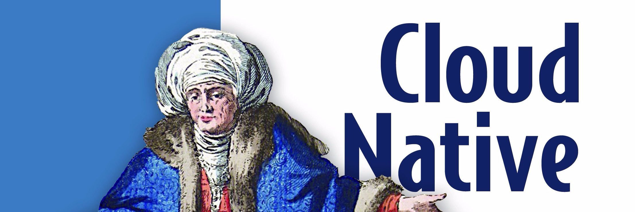 Cornelia Davis (she/her) @corneliadavis.com bsky banner