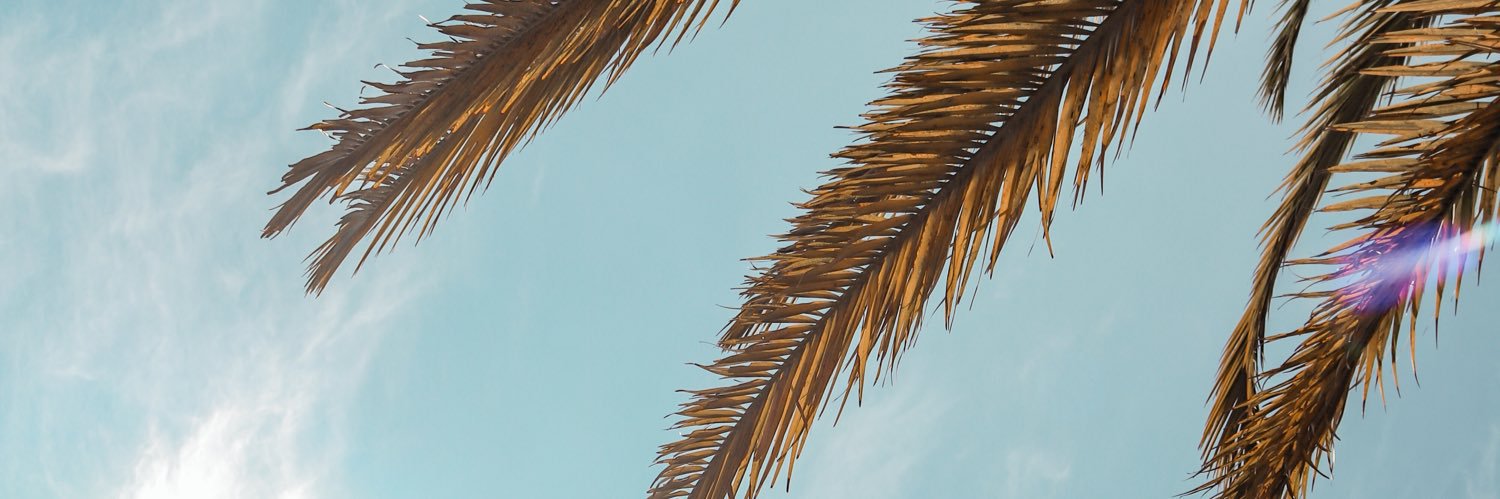 heyvit0's profile banner image