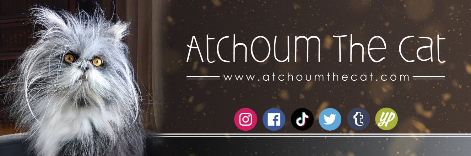 Atchoumthecat's profile banner image