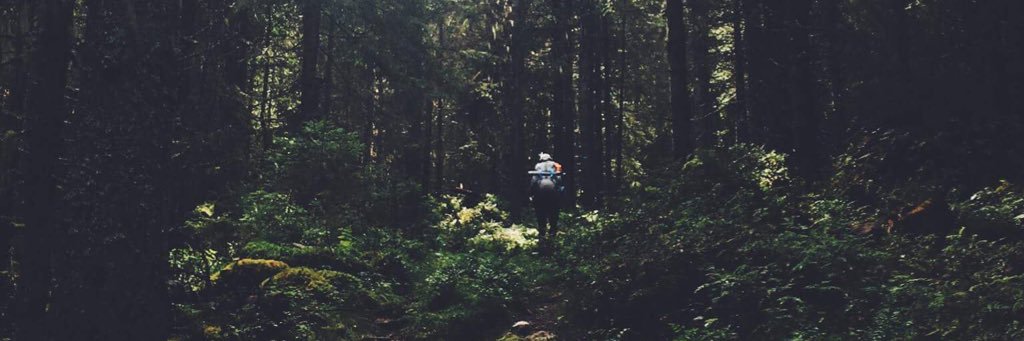amberbecue's profile banner image