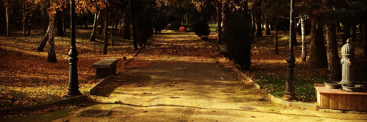 Operario de Deportes banner