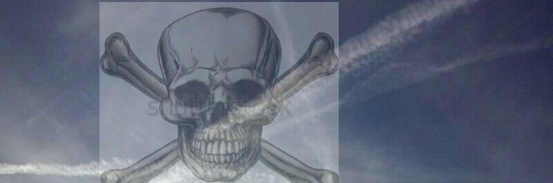 redding_red's profile banner image
