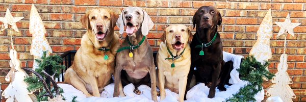 CarolineReese Profile Banner