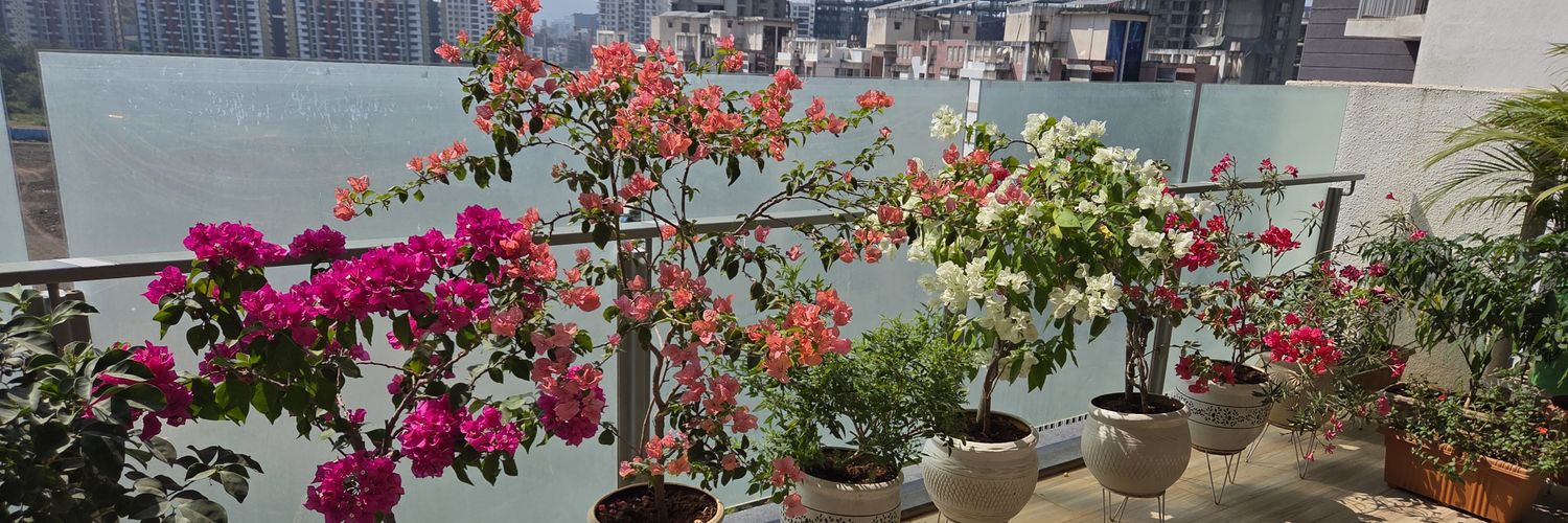 SonalShriv's profile banner image