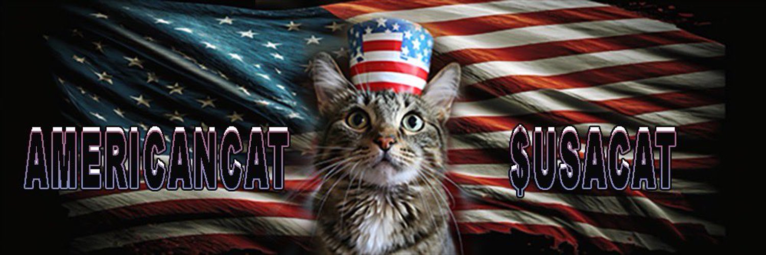 4mericats's profile banner image