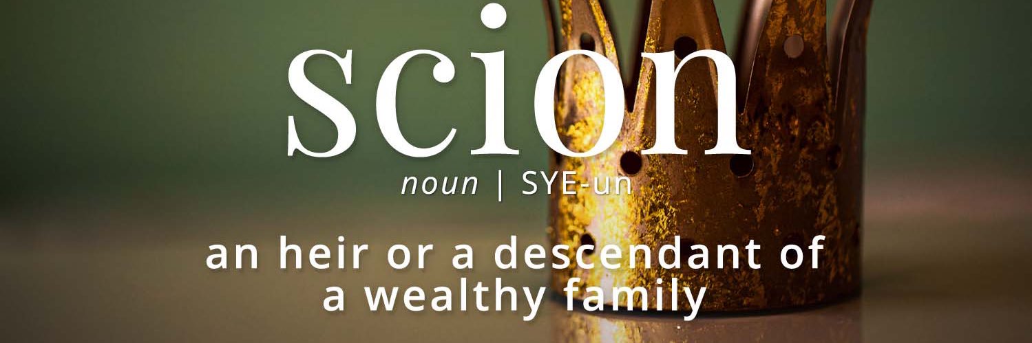 scion1415's profile banner image