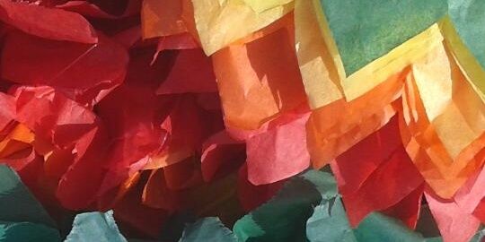 anpar66's profile banner image