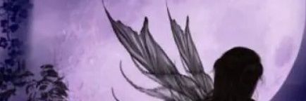 dbbbb37c5da8413's profile banner image