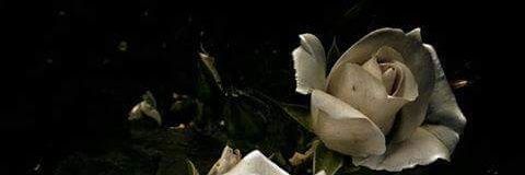 AnaAnagmsfdz's profile banner image