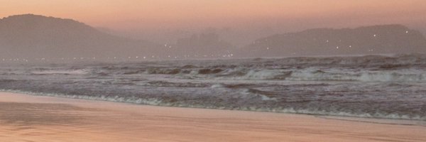 lapatodegato Profile Banner