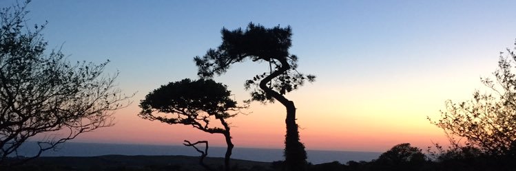 MrsKJ14's profile banner image