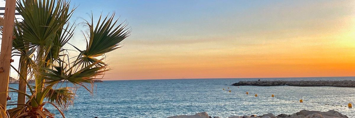 Ombria8's profile banner image