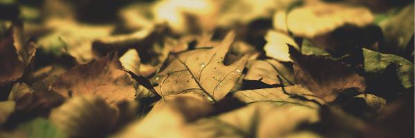 ColdHarbourUK Profile Banner