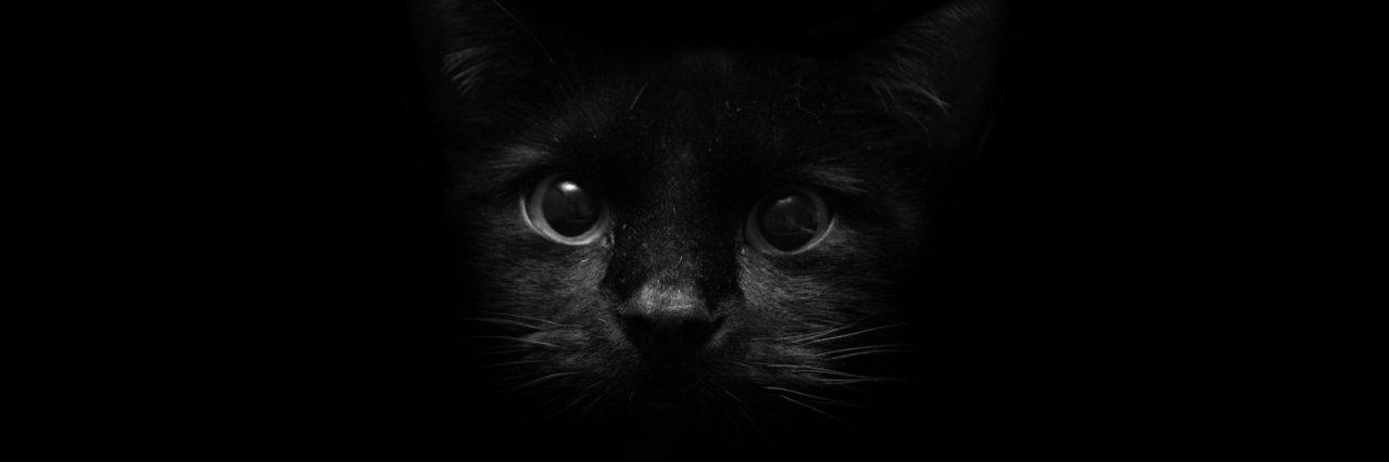 duc1ssa's profile banner image