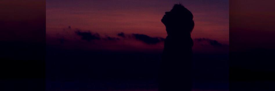 CaplinCalico_'s profile banner image
