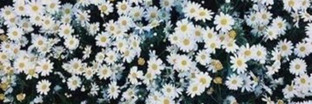 givenuphaha's profile banner image
