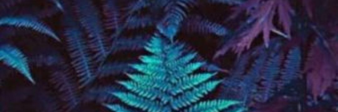 TurkeliTugba's profile banner image