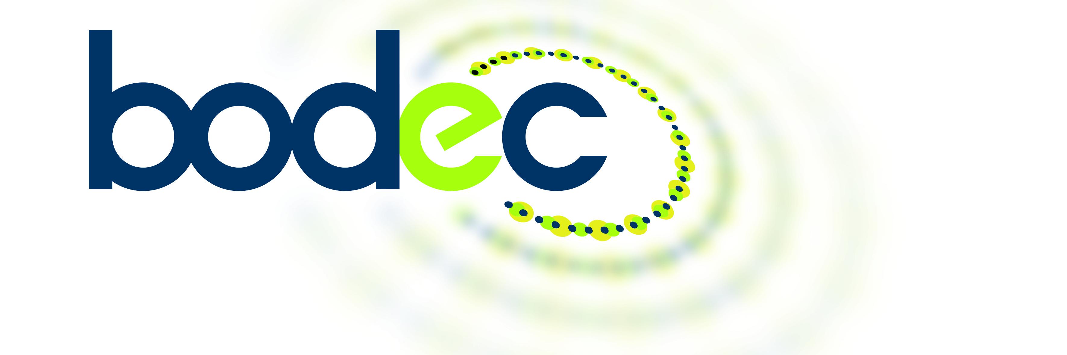 Bodec_bv's profile banner image