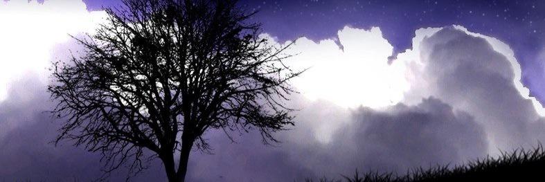 KMolleturo's profile banner image