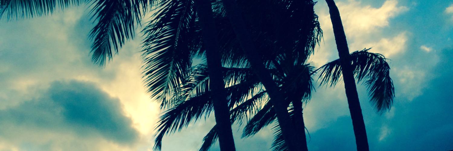 _fotu1's profile banner image