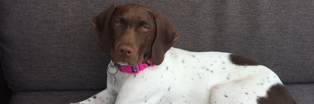 staceyhenderson's profile banner image