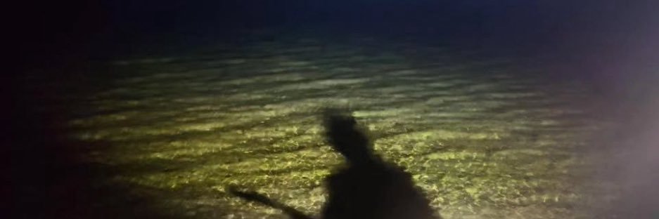 Blood From A Stone banner