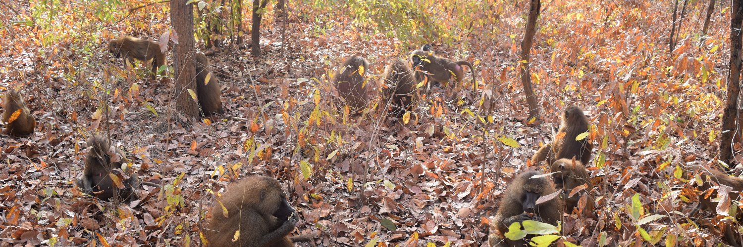 William O'Hearn banner