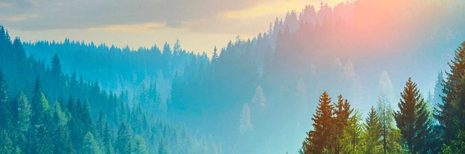 MattNeall's profile banner image