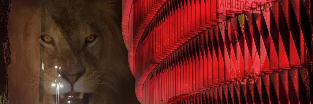 BLizoain's profile banner image