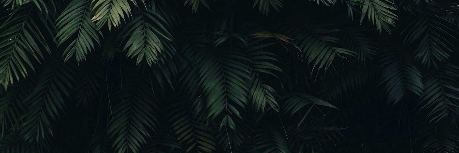 rmn0910's profile banner image