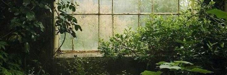 maestrowithlove's profile banner image